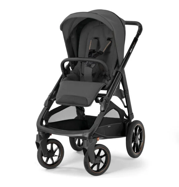 Inglesina Aptica XT | 2024 Renkler