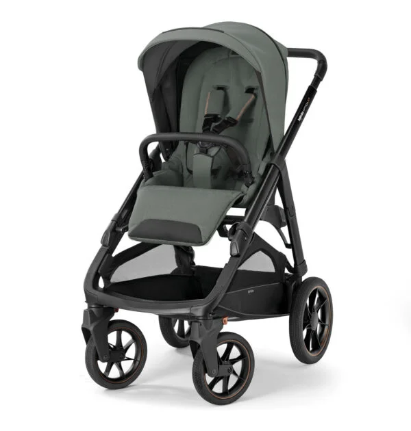 Inglesina Aptica XT | 2024 Renkler - Görsel 3