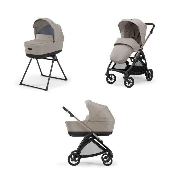 Inglesina Electa Duo | 2024 Renkler